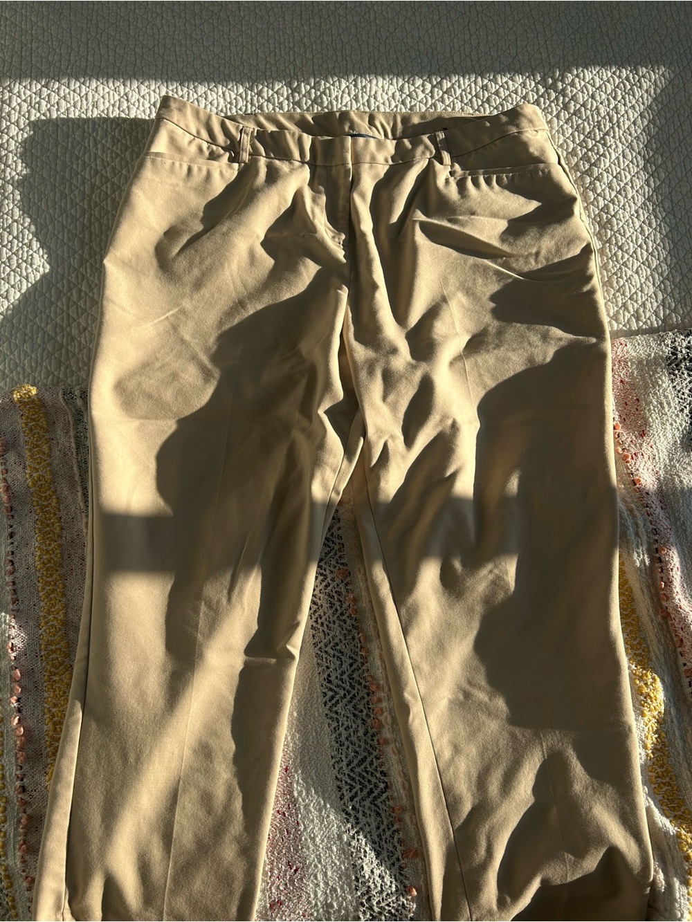 Beige Lane Bryant Formal Pants